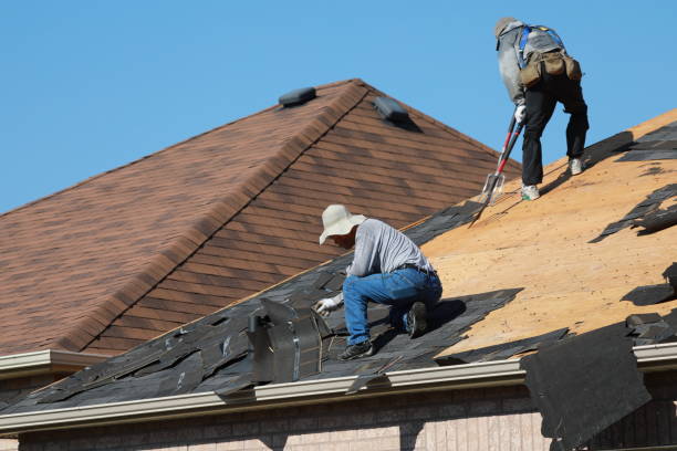 Best Gutter Installation and Repair  in Wentzville, MO