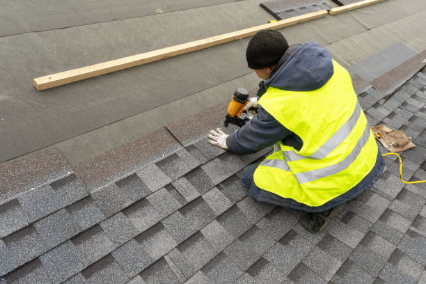 Best Roof Moss and Algae Removal  in Wentzville, MO